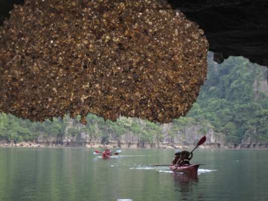 12Luon Cave