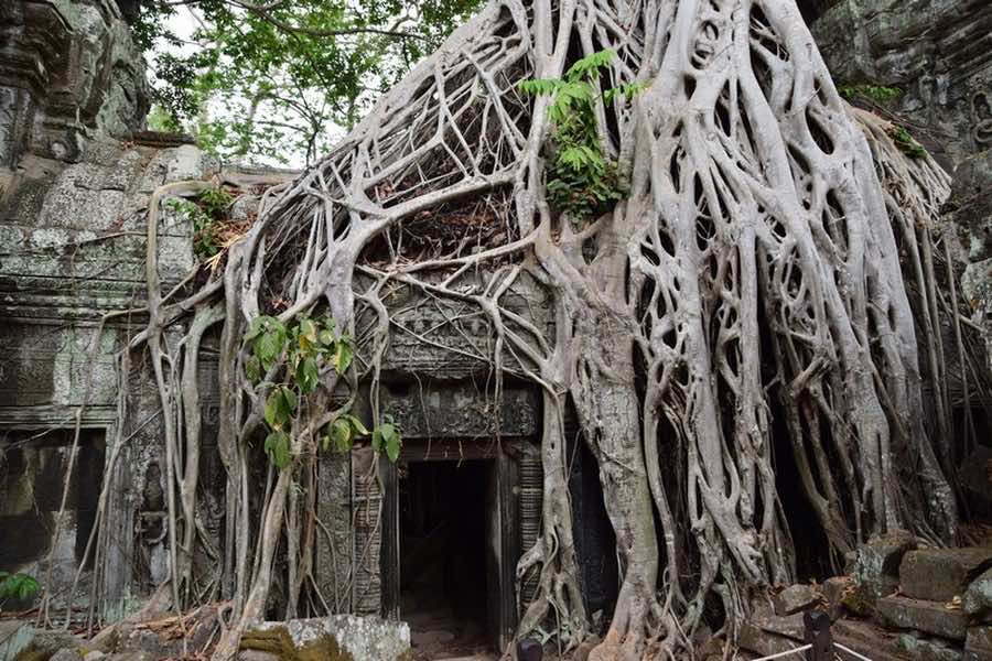 Cambodia Angkor 29