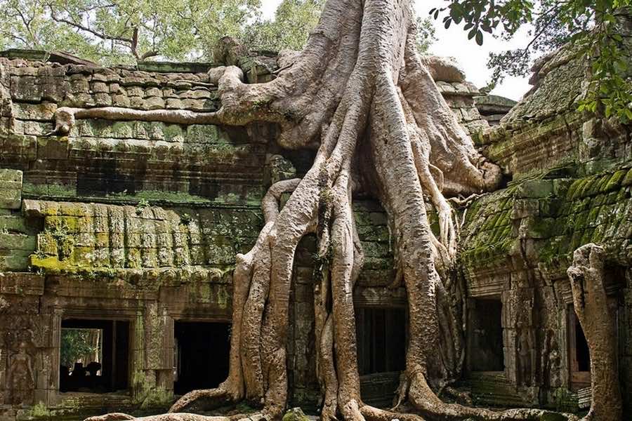 Cambodia Angkor 5
