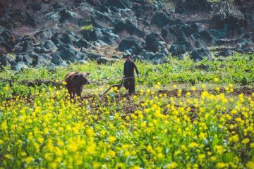 Far north Vietnam