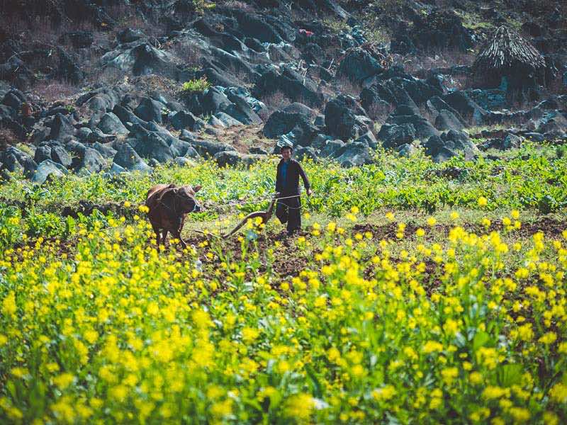Far north Vietnam