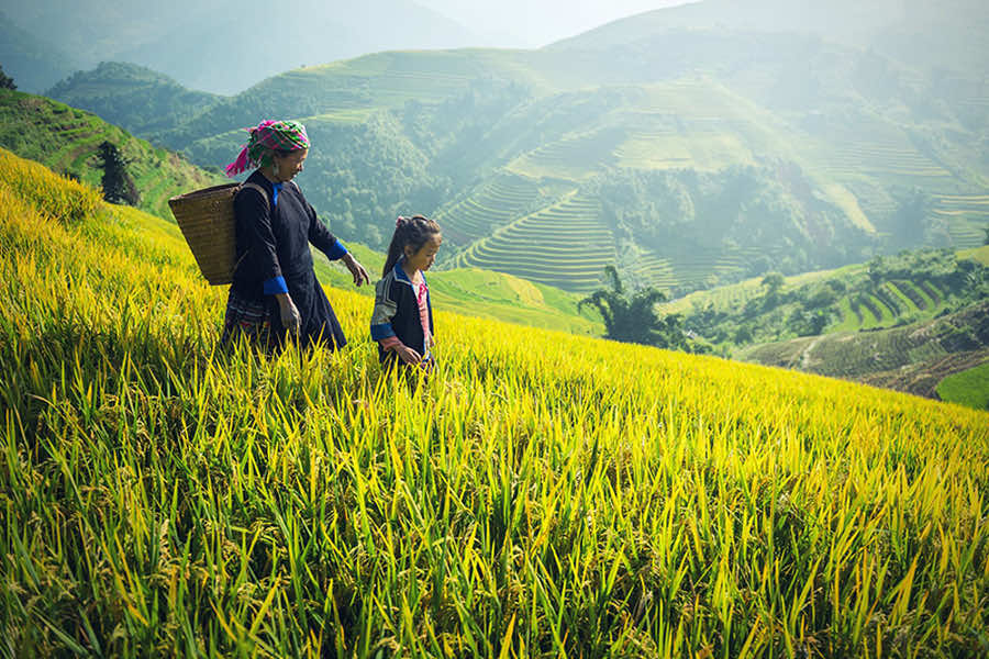 Northwest Vietnam Adventure