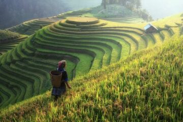 Vietnam & Cambodia In Depth 21 Days (3-Week Itinerary)