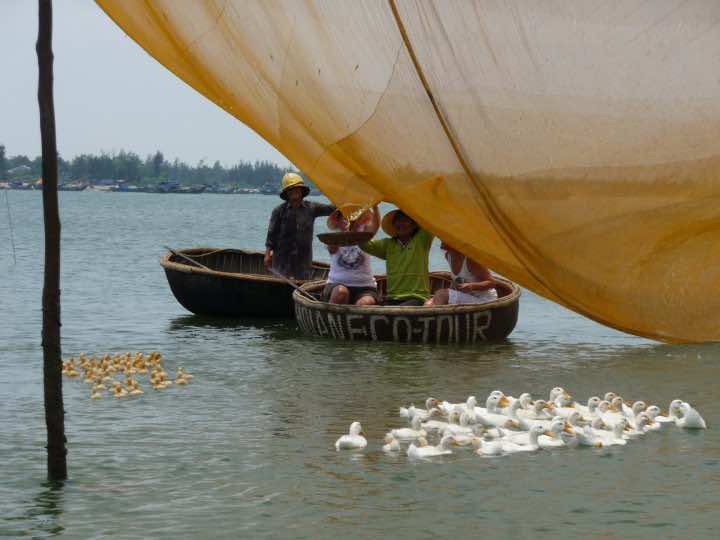tour 6 day 6 hoi an eco tour2 2