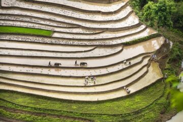 Mountain Biking – Sapa to Dien Bien