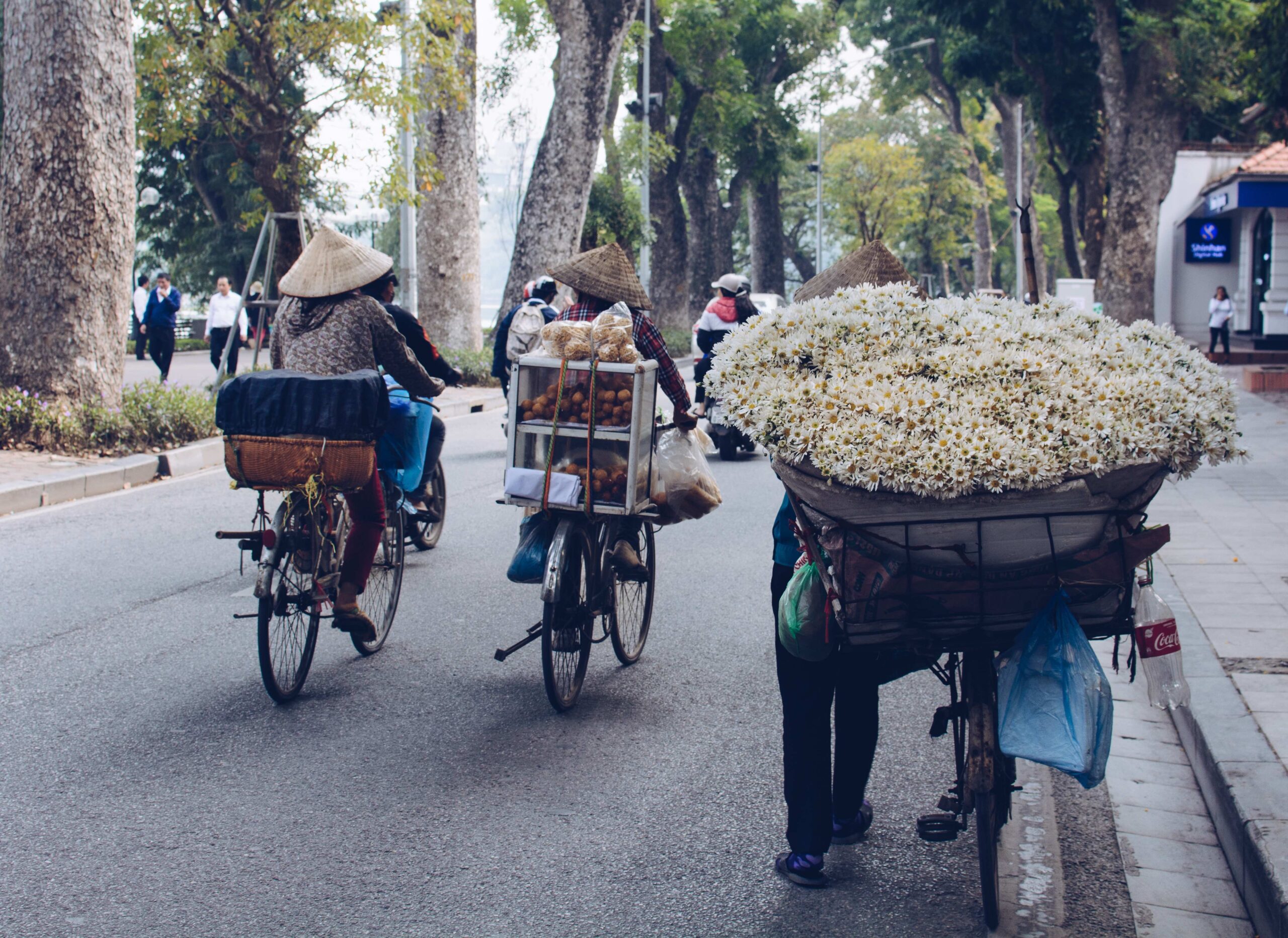 Photo by Adli Wahid on Unsplash scaled