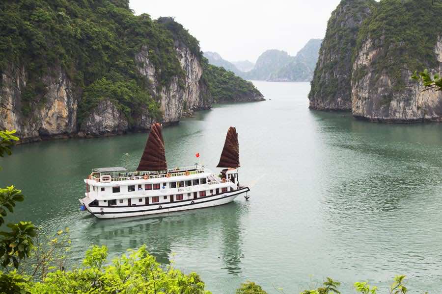 swan cruise overview